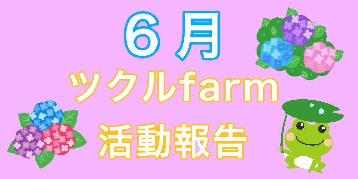 6月⭐︎ツクルfarm活動報告