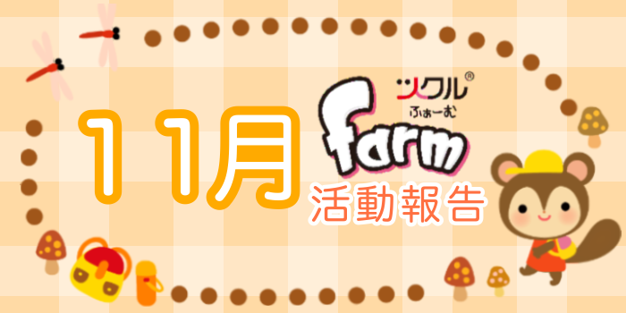 11月☆ツクルfarm活動報告