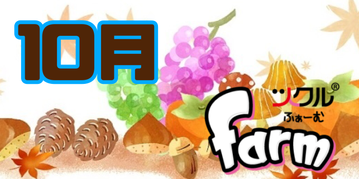 10月⭐️ツクルfarm活動報告