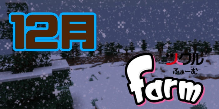 12月⭐️ツクルfarm活動報告