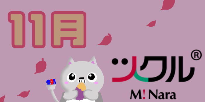 11月⭐︎ミ・ナーラ活動報告