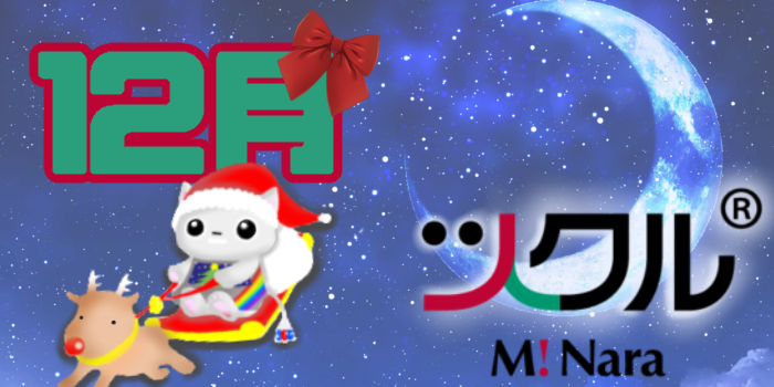 12月⭐️ミ・ナーラ活動報告