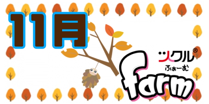 11月⭐️ツクルfarm活動報告
