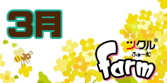 3月⭐️ツクルfarm活動報告