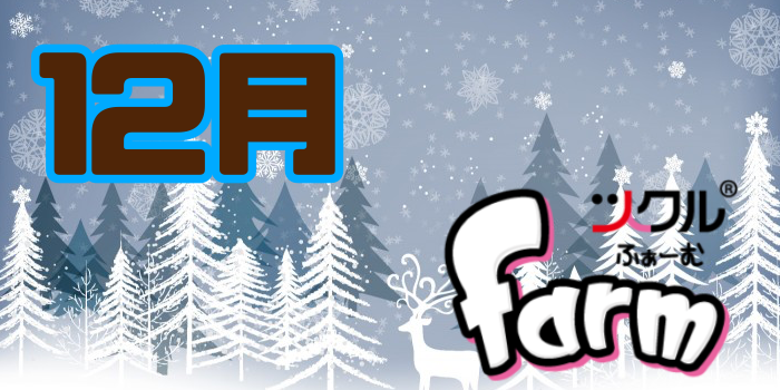 12月⭐️ツクルfarm 活動報告