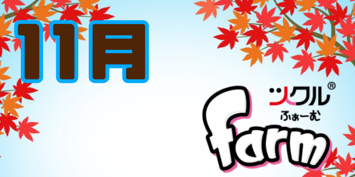 11月⭐️ツクルfarm活動報告