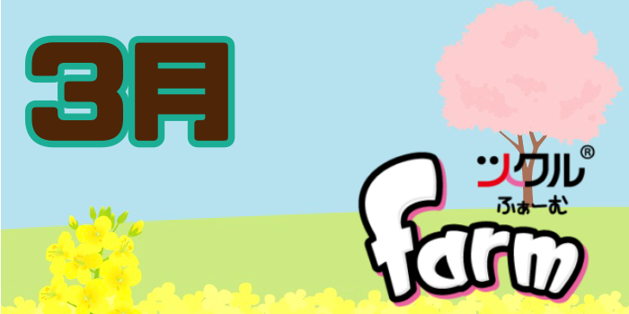 3月⭐️ツクルfarm 活動報告