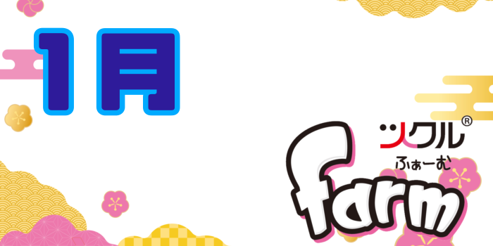 1月⭐️ツクルfarm活動報告