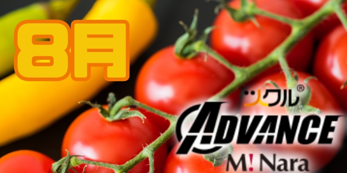 8月⭐ツクルADVANCEミ・ナーラ校活動報告