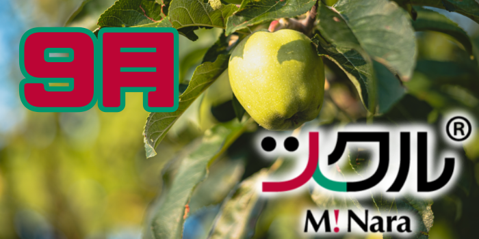 ９月⭐️ツクルミ・ナーラ校活動報告